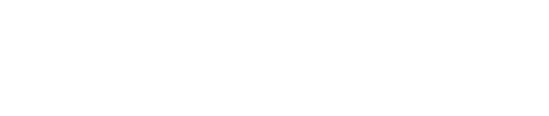 GeminIQ